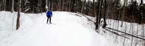 Bruce Ski Club - Sawmill Nordic Centre - Cross-Country Skier on a Hill