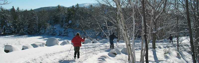 People cross-country skiing in Acadia National Park