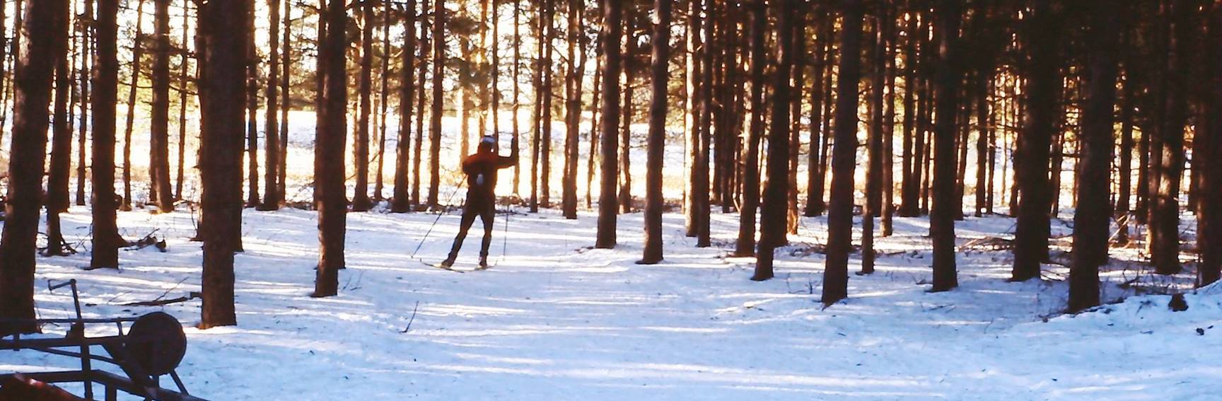 Cross-country skier at Sawmill Nordic Centre, Hepworth, Ontario - 1999