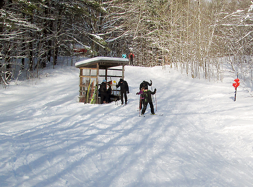 children cross-country skiing