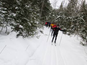 Line of skiers at the Colpoys Ski Trail, Bruce Peninsula, Ontario