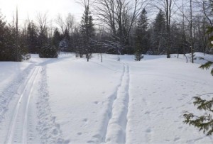 cross-country ski trails diverging