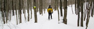 Sawmill Nordic Centre, Hepworth, Ontario - Snowshoeing on Trails