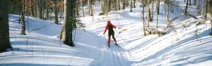 Rankin Ski Trail: Solo Skier (Bruce Ski Club)