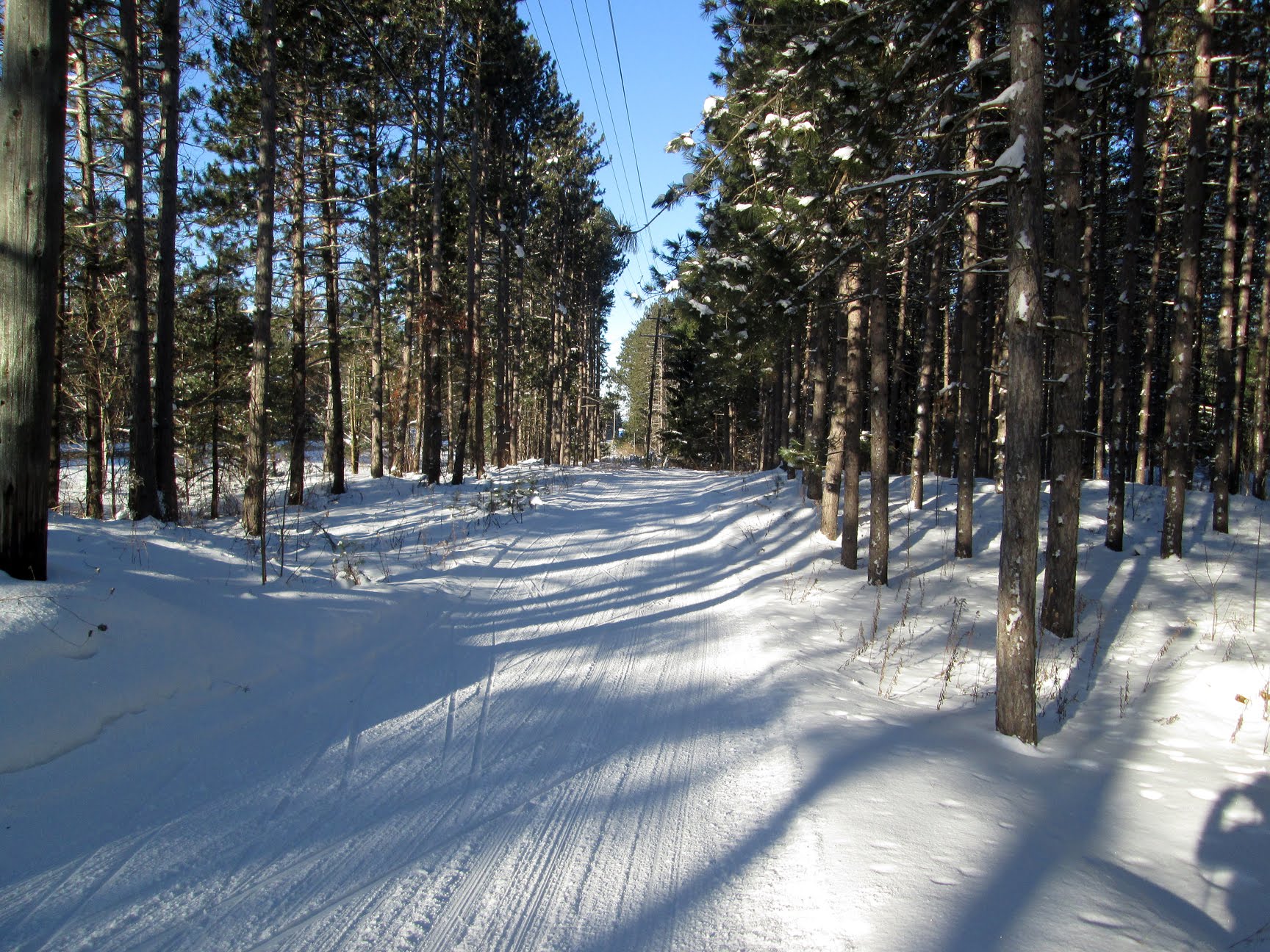 Cross-country ski trail