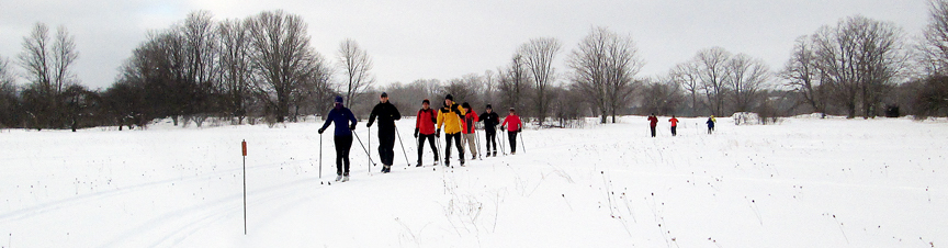Line of Skiers at Colpoys Bay Ski Trail in Wiarton, Ontario
