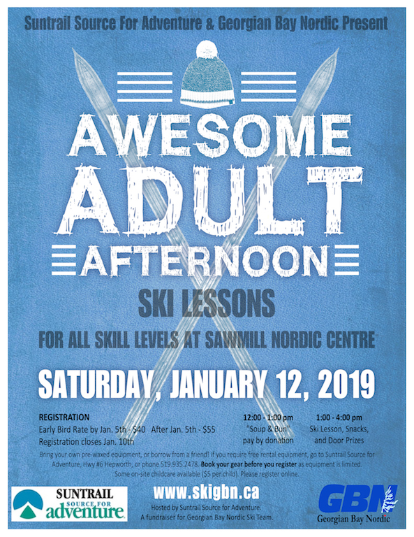 Awesome Adult Afternoon Ski Lessons 2019 Poster