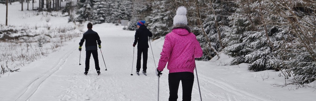 cross-country skiers on forest trail