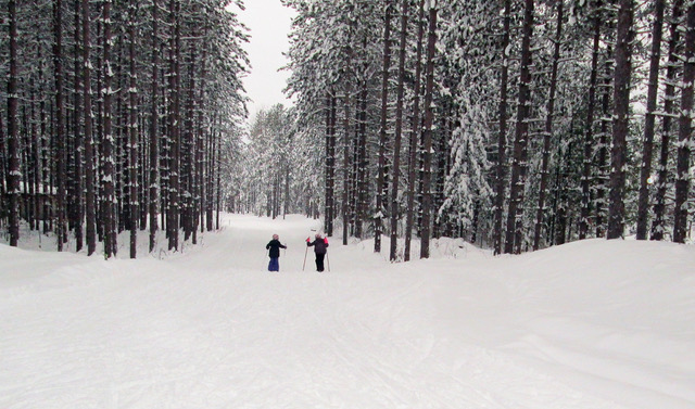 Sawmill Nordic Centre, Two-Way Trail, Young Skiers